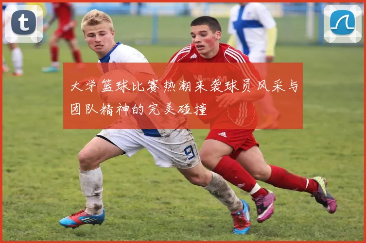 大学篮球比赛热潮来袭球员风采与团队精神的完美碰撞