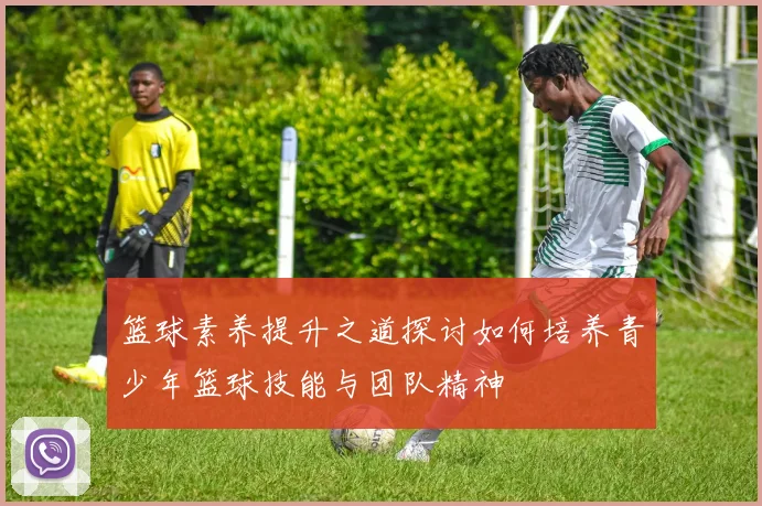 篮球素养提升之道探讨如何培养青少年篮球技能与团队精神