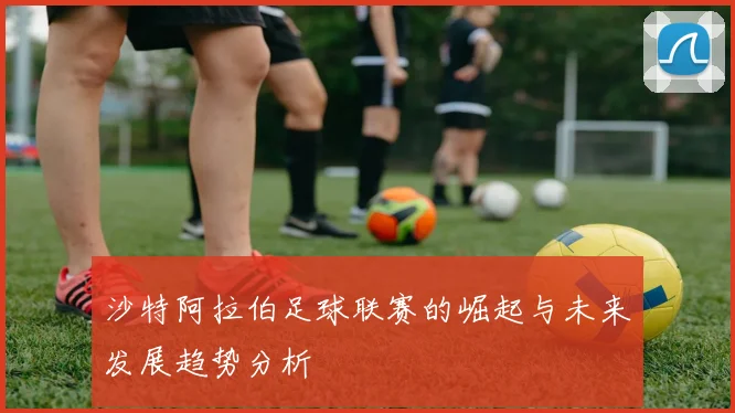 沙特阿拉伯足球联赛的崛起与未来发展趋势分析