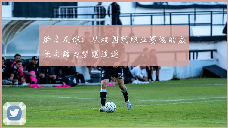 胖虎足球：从校园到职业赛场的成长之路与梦想追逐