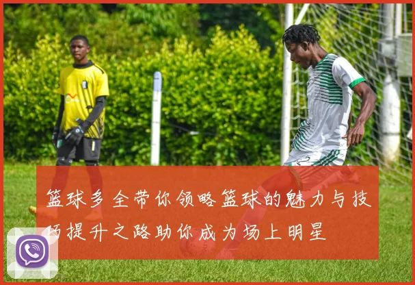 篮球多全带你领略篮球的魅力与技巧提升之路助你成为场上明星